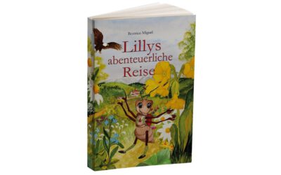 Kinderbuch Lillys abenteuerliche Reise